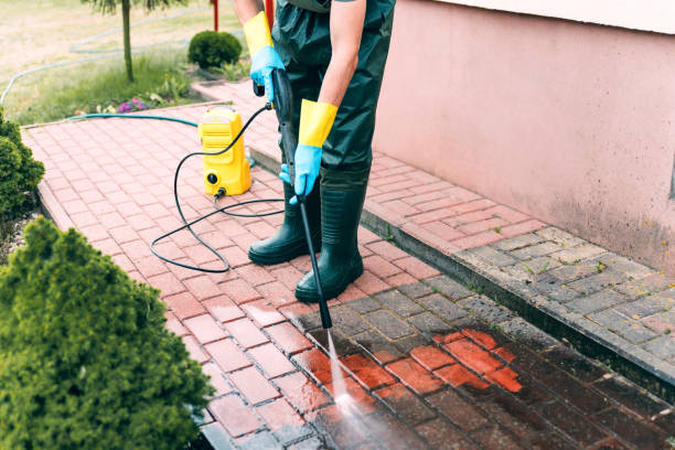 Best Roof Power Washing Services  in Coraopolis, PA